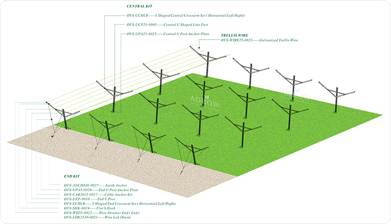 Winnica Open Gable Trellis -AGROW-AGTEK.jpg
