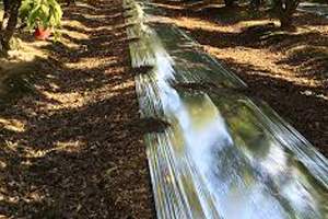 Reflective Films 300x200.jpg