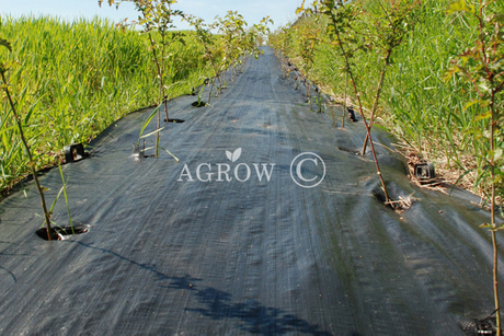 Mata do chwastów ziemi