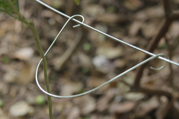 Klip do pionowej linii Post.jpg